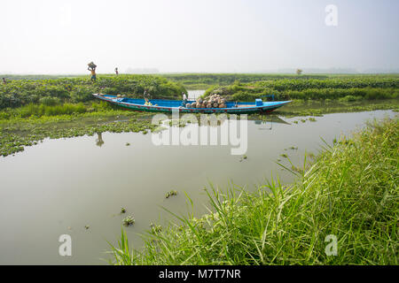 Kürbisse sind Laden auf dem Boot bei Arial Beel, Munshigonj, Bangladesch. Stockfoto