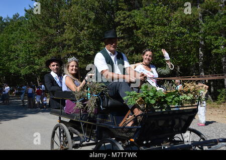 Zoom auf das Lavendelfestival vom 15. august in Sault, Frankreich Stockfoto