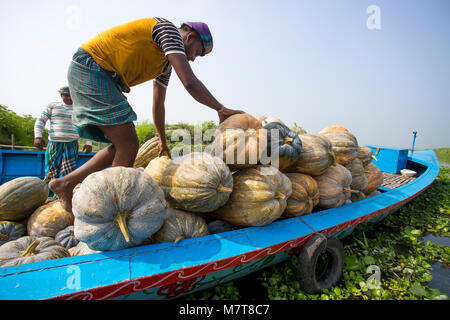 Kürbisse sind Laden auf dem Boot bei Arial Beel, Munshigonj, Bangladesch. Stockfoto