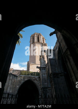 Klöster, die Kathedrale des Heiligen Kreuz und der Heiligen Eulalia, Barcelona, Katalonien, Spanien. Stockfoto