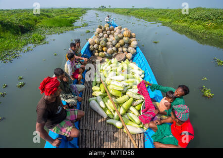 Die kürbisse sind Karwan Bazar und shaympur Bazar der Hauptstadt Dhaka auf Lkws oder Lokale Boote gesendet. Stockfoto