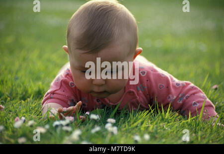 Baby girl liegend auf Bauch im Garten erkunden Gänseblümchen Stockfoto