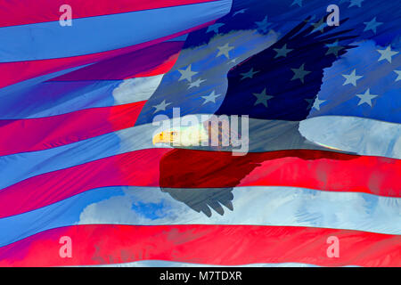 Weißkopfadler im Flug und US Flag Composite Stockfoto