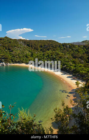 Te Pukatea Bay, Abel Tasman National Park, Nelson, Südinsel, Neuseeland Stockfoto