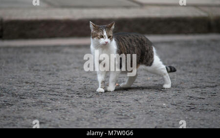 Downing Street, London, UK. 13. März 2018. Minister der Regierung kommen in Downing Street für die wöchentliche Kabinettssitzung. Credit: Malcolm Park/Alamy Leben Nachrichten. Stockfoto