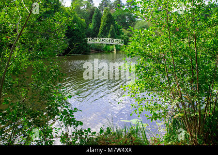 LONDON, GROSSBRITANNIEN, 28. August 2016: weiße schmiedeeiserne Brücke ist eine kleine Fußgängerbrücke, die über Virginia Wasser an der Valley Gardens liegt. Stockfoto