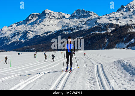 Langläufer in einem Ski Trail der Engadin Skimarathon, St. Moritz, Engadin, Graubünden, Schweiz Stockfoto