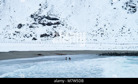 Brave Surfer in der eisigen Kälte Lofoten Insel im Winter, Norwegen Stockfoto