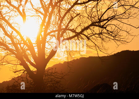 Das Drama der Sonne entfaltet, wie es ändert die Position in den Himmel und die Wolken in der Nacht Zeit mit der Vorbereitung auf den Ländereien der Wichita Mountains Stockfoto