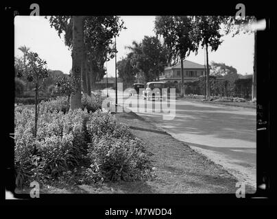 Ägypten. Kairo. Gezira Gardens & Sport LOC 17913 matpc. Stockfoto