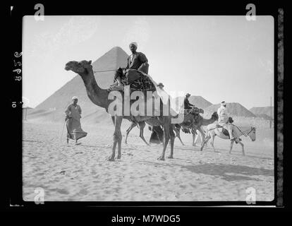 Ägypten. Pyramiden von Gizeh. Kamele und Reiter in der Nähe der Großen Pyramide LOC 17950 matpc. Stockfoto
