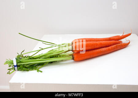 Frisches Bündel von orange Karotten mit grünen Stiele Stockfoto