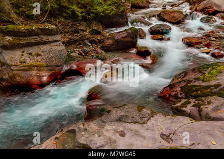 Avalanche Creek, Glacier National Park, Montana Stockfoto