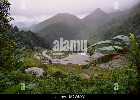 Bangaan Reis Terrassen; Eine der Terrassen in Banaue Ifugao in den Philippinen gefunden Stockfoto