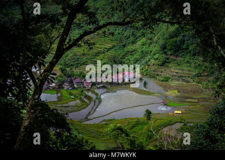 Bangaan Banaue Rice Terraces Stockfoto