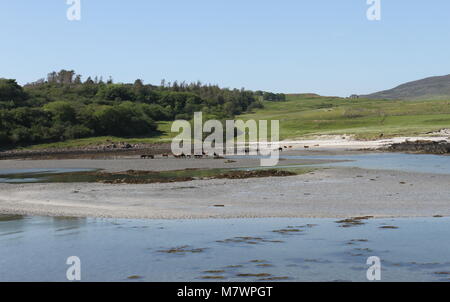 Bucht von Laig bei Ebbe Insel Eigg Schottland Mai 2012 Stockfoto