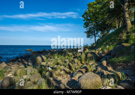 Steilküste Staberhuk, Fehmarn, Ostsee, Schleswig-Holstein, Deutschland, Europa Stockfoto