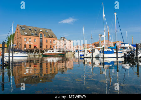 Hafen in Orth, Fehmarn, Ostsee, Schleswig-Holstein, Deutschland, Europa Stockfoto