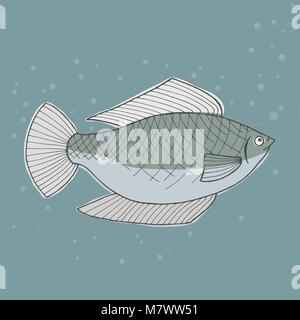 Die grauen Fisch im Meer Vector Illustration. Ozean Tierwelt. Stock Vektor