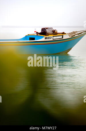 Ein Mann mit Sonnenbrille auf kleine blaue Boot an den ruhigen Gewässern des Atlantik in der Nähe der Fidschi-Inseln. Grüne Pflanze im Vordergrund. Stockfoto