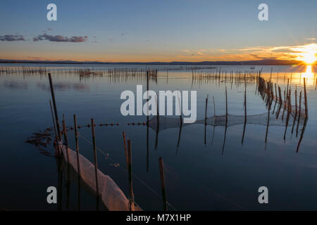 Sonnenuntergang über dem Albufera (Valencia, Spanien) Stockfoto