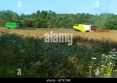 Zwei landwirtschaftlichen Maschinen arbeiten im Bereich, landwirtschaftliche Flächen, Ain Erntemaschinen im Bereich betreiben, Stockfoto