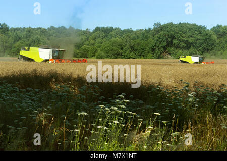 Zwei landwirtschaftlichen Maschinen arbeiten im Bereich, landwirtschaftliche Flächen, Ain Erntemaschinen im Bereich betreiben, Stockfoto