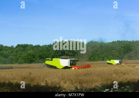 Zwei landwirtschaftlichen Maschinen arbeiten im Bereich, landwirtschaftliche Flächen, Ain Erntemaschinen im Bereich betreiben, Stockfoto