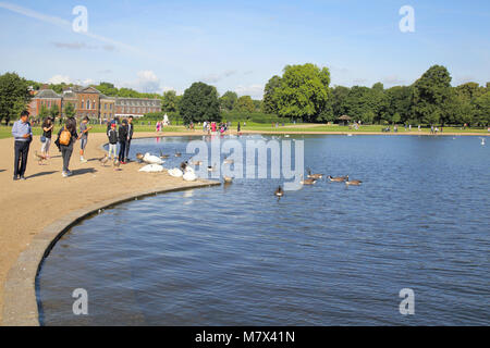 Die runden Teich im Hyde Park und Kensington Palace in der Ferne london Stockfoto