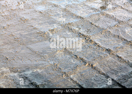 Nahaufnahme der Baustelle Stärkung metal Bars von industrieboden Stockfoto