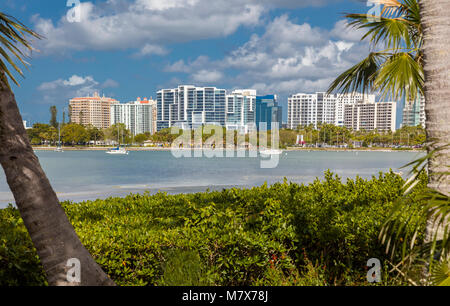 Downtown Sarasota Gebäude über Sarasota Bucht von Selby Gardens in Sarasota Florida Stockfoto