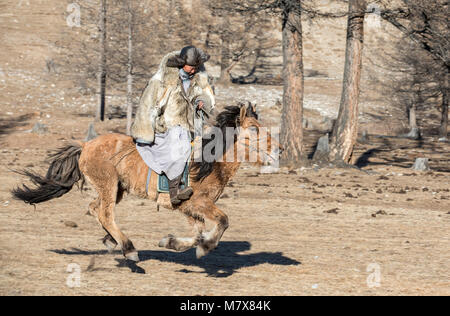 Mongolische Mann mit einem Wolf haut Jacke, reiten sein Pferd in einer Steppe im Norden der Mongolei Stockfoto