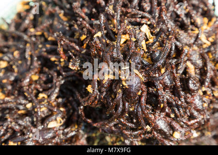 Kambodscha spider Markt - gebratene Spinnen für den Verkauf in den Insekt Markt für Lebensmittel, Skoun, Kambodscha, Asien Stockfoto