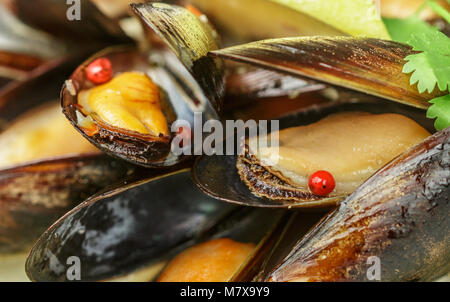 Leckere Muscheln in Weißwein mit Zitrone, Knoblauch, Kräutern und Gewürzen. Koriander und Pfeffer. Fisch und Meeresfrüchte. Muscheln in die Tanks. Snack für Genießer. Stockfoto