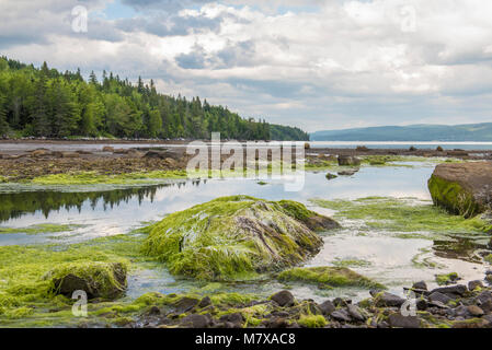 Cabot Trail, Cape Breton Island Stockfoto