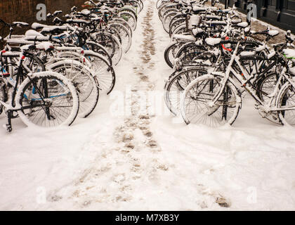 Zeilen von Fahrrädern in Fahrrad Park im Schnee London Uk gesperrt Stockfoto