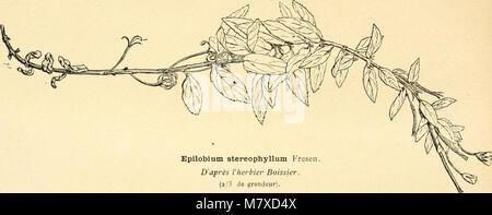 Bulletin de l'Acadmie internationale de gographie Botanique (1899-1910) (20431112135) Stockfoto