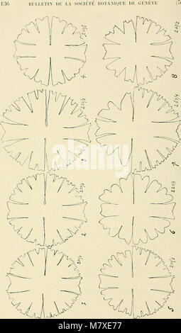 Bulletin de la société botanique de Genève (1918) (14581262250) Stockfoto