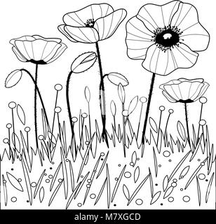 Malvorlagen mit Mohnblumen Stockfoto, Bild: 56442618 - Alamy