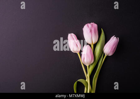 Rosa Blumen auf einem dunklen Hintergrund. Studio gedreht. Flach. Kopieren Sie Platz. Stockfoto