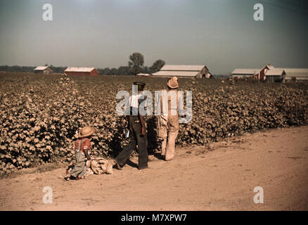 Junge Kinder Tagelöhner Kommissionierung Baumwolle, in der Nähe von Clarksdale, Mississippi, Marion Post Wolcott für die Farm Security Administration, November 1939 Stockfoto