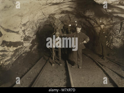 Junge Führer und Fahrer, Welle #6, Pennsylvania Pittston Coal Company, Süden, Pennsylvania, USA, Lewis Hine für nationale Kinderarbeit Ausschuss, Januar 1911 Stockfoto