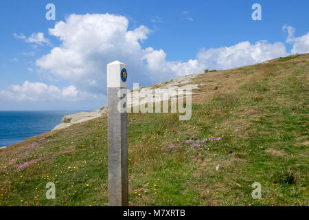 Wales Coast Path Zeichen und Logos auf waymarker auf Llyn Halbinsel in der Nähe von Mygydd Cilan oder Porth Ceiriad im Sommer. Abersoch Gwynedd Wales UK Stockfoto