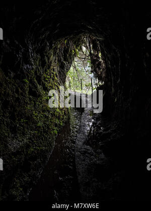 Levada Tunnel bei Madeira Stockfoto