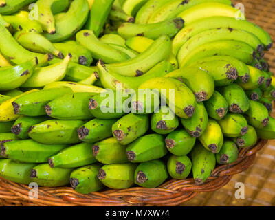 Grüne Bananen auf dem Markt in Funchal, Madeira Stockfoto