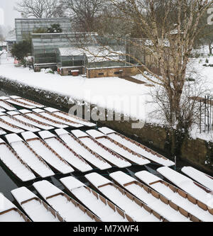 Stocherkähne im Schnee auf dem Fluss Cherwell neben Magdalen Bridge in den frühen Morgenstunden abgedeckt. Oxford, Oxfordshire, England Stockfoto