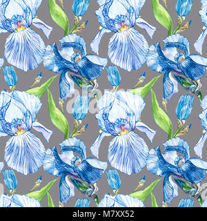 Blüten der Iris. Aquarell Hand gezeichnet botanischen Abbildung von Blumen. Nahtlose Muster Stockfoto