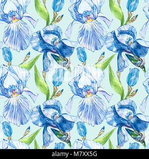Blüten der Iris. Aquarell Hand gezeichnet botanischen Abbildung von Blumen. Nahtlose Muster Stockfoto