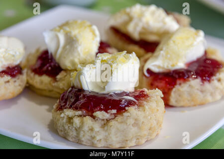 Cornish Cream Tea Scones. Traditionell cream tea Scones in Cornwall sind auf Ein kornisches Split serviert, ein süßes Brötchen mit Marmelade und Sahne. Stockfoto