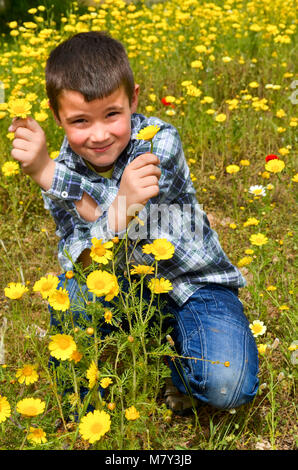 Kinder spielen im Daisy-Feld. Junge Kommissionierung frischen gelben Gänseblümchen Wiese an sonnigen Frühlingstag. Kinder spielen im Freien. Kinder Natur erkunden. Stockfoto